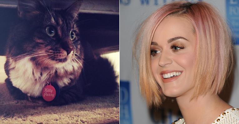 Katy Perry publica foto de sua gatinha fofa