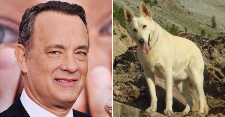 Tom Hanks presta tributo ao seu cachorro que morreu