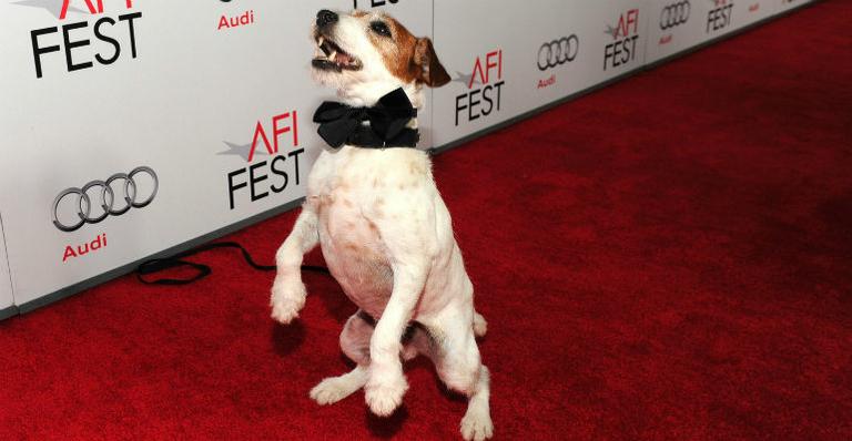 Uggie, cão de ‘O Artista’, não vai ao Oscar