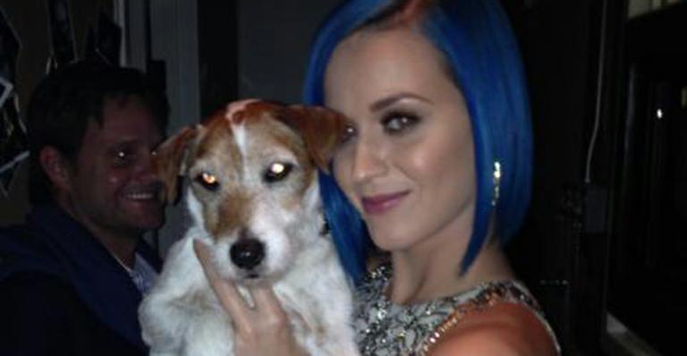 Katy Perry tieta Uggie, o cachorro do filme ‘O Artista’