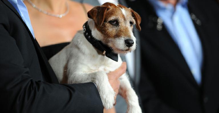 Cãozinho Uggie, de ‘O Artista’, será estrela de comercial de videogame