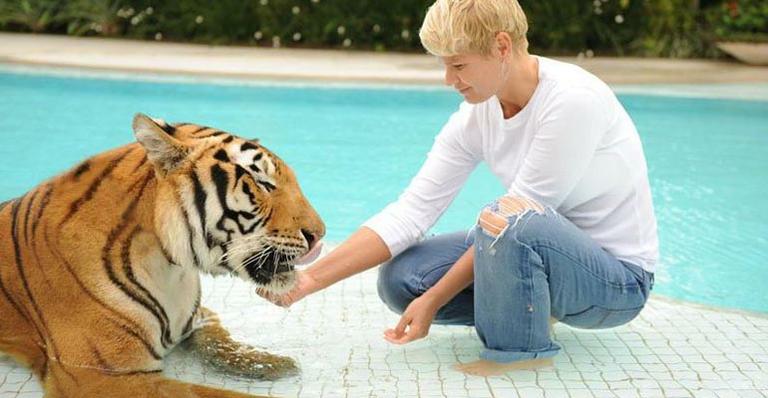 Xuxa Meneghel recebe a visita de ‘ator inusitado’: um tigre