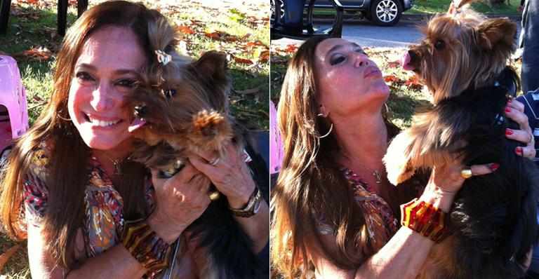 Susana Vieira publica fotos com cachorrinha e diz que quer adotar o animal
