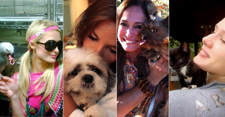 As famosas que adoram bichinhos de estimação