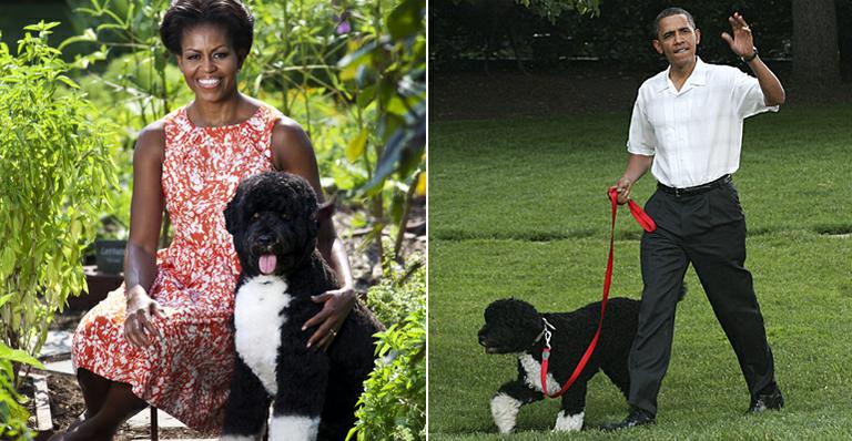 Michelle Obama diz que Bo, o primeiro cão, é seu terceiro filho
