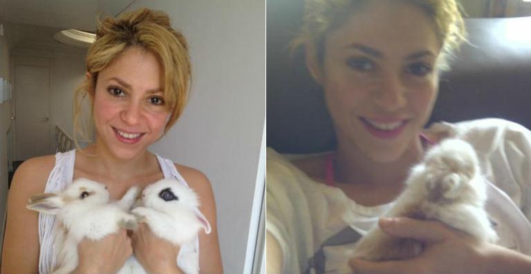 Em clima de Páscoa, Shakira posa com seus coelhos