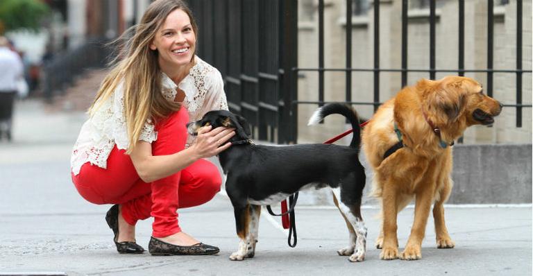 Hilary Swank passeia com seus cães em Nova York