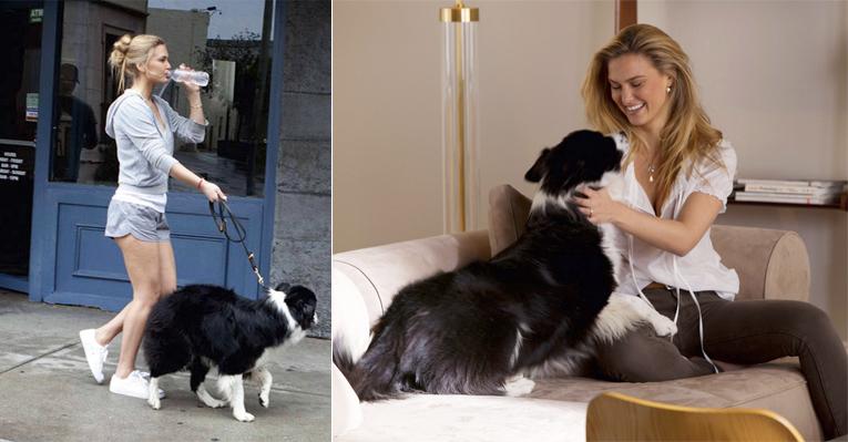 Bar Refaeli posa para fotos com cachorro da raça border collie