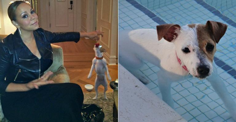 Mariah Carey alimenta o cãozinho Jill com morangos