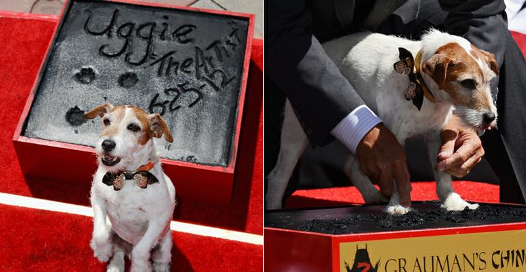 Cachorro de ‘O Artista’, Uggie deixa suas patas na Calçada da Fama de Hollywood