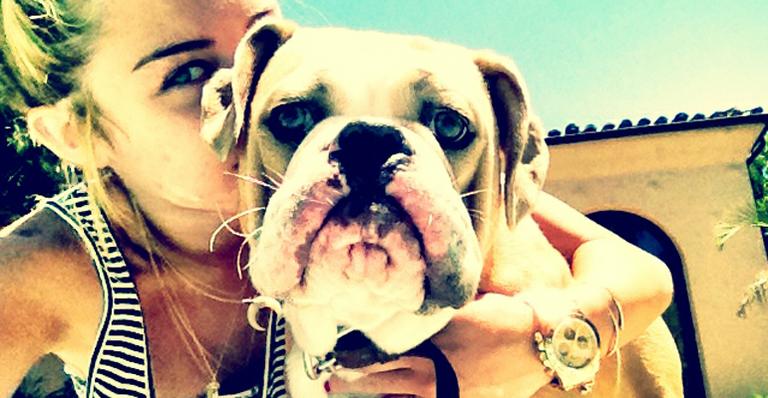 Miley Cyrus e o cãozinho Ziggy em dia de sol e lazer