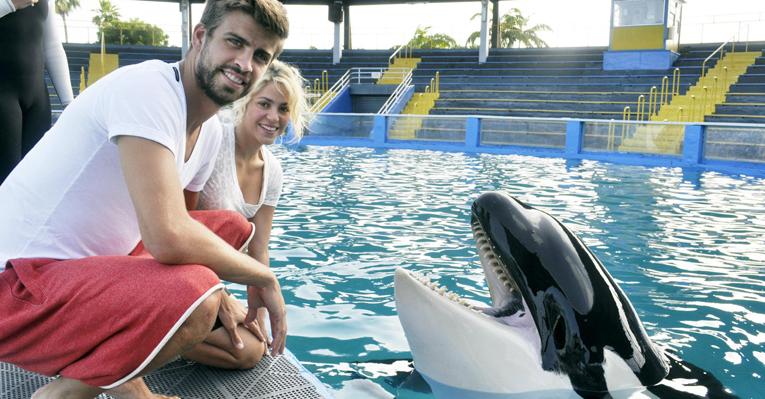 Shakira e Gerard Piqué ganham ‘beijo’ de baleia orca durante férias