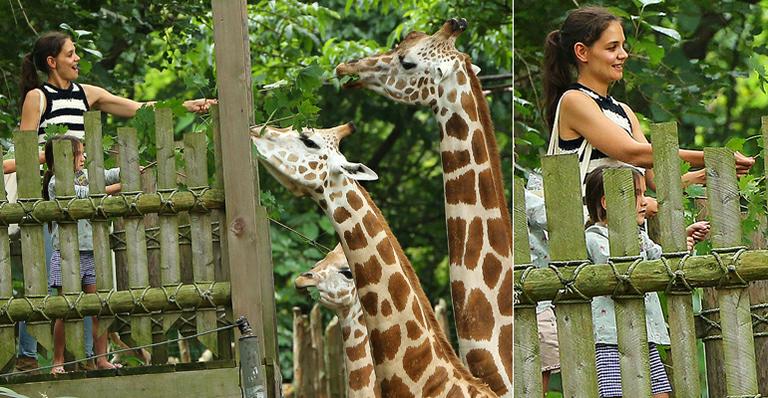 Katie Holmes e Suri se divertem com girafas no zoológico