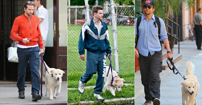 Bradley Cooper: apaixonado por sua cadelinha