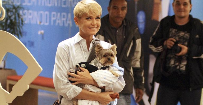 Xuxa mima o seu cãozinho Dudu
