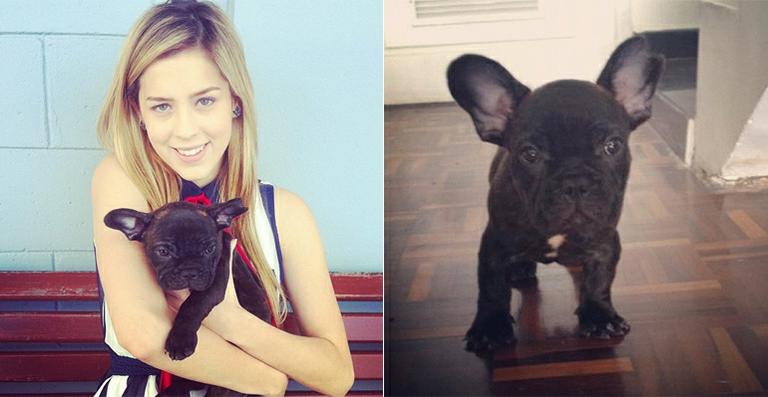 Sophia Abrahão apresenta seu novo cachorrinho, o Tufi