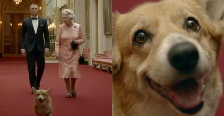 Morre um dos cães da Rainha Elizabeth II