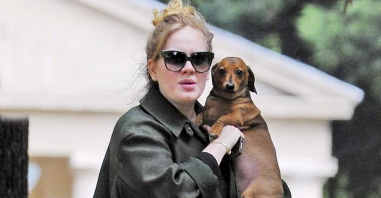 Diversão de Adele e seu cão Louie