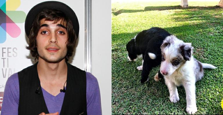 Apaixonado por animais, Fiuk adota novo cachorrinho