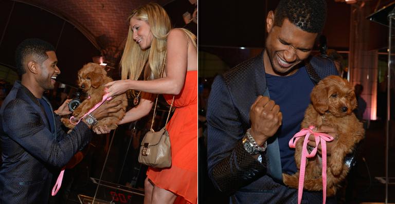 Usher paga US$ 12 mil por cãozinho em leilão para caridade