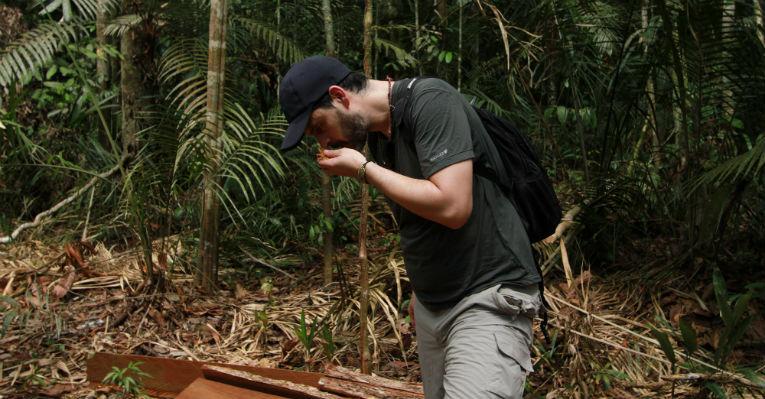 Bruno Garcia invade a floresta amazônica em busca da mata primária