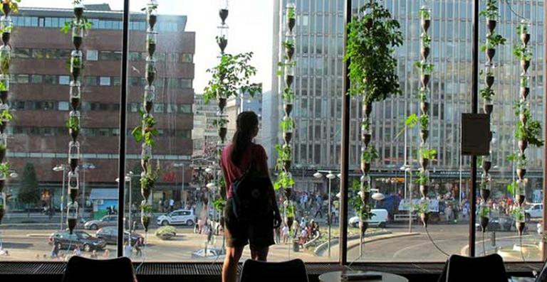 Living Design: Transforme sua janela em uma horta urbana
