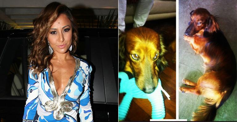 Sabrina Sato apresenta novo cachorrinho, o vira-lata Bernardo