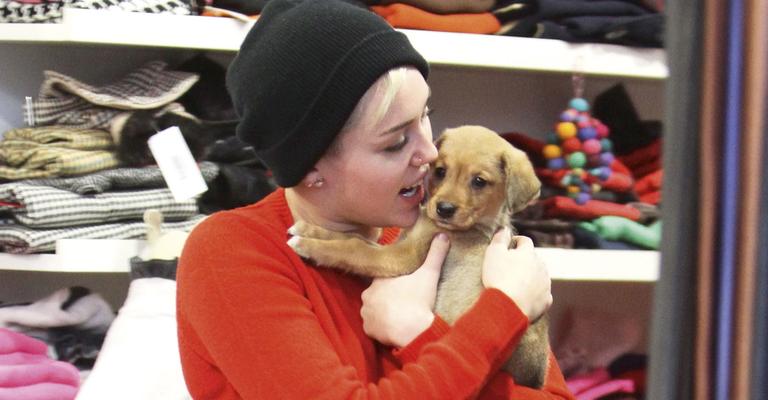 Miley Cyrus adota nova mascote em Los Angeles