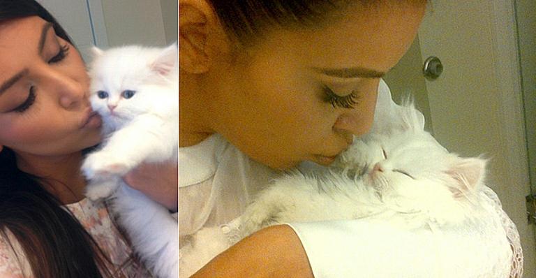 Morre Mercy, a gatinha que Kanye West deu para Kim Kardashian