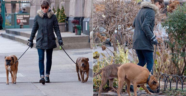 Jessica Biel passeia com seus cães por NY