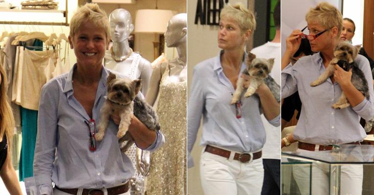 Com o cachorro Dudu no colo, Xuxa passeia em shopping no Rio de Janeiro