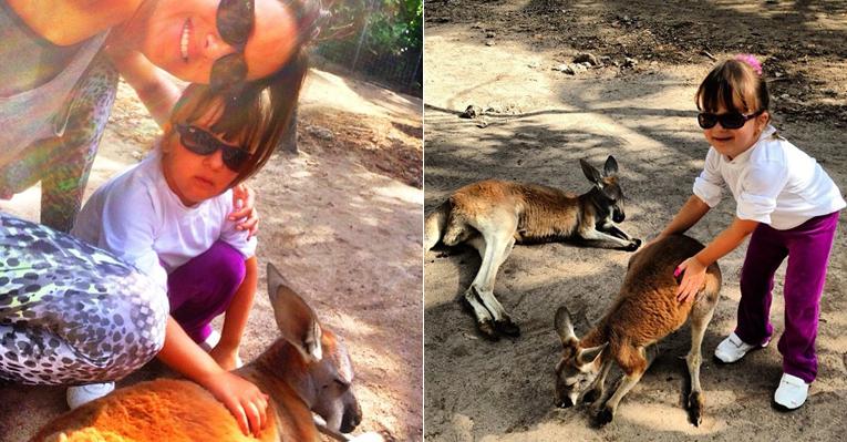 Em Miami, Rafaella Justus faz carinho em canguru