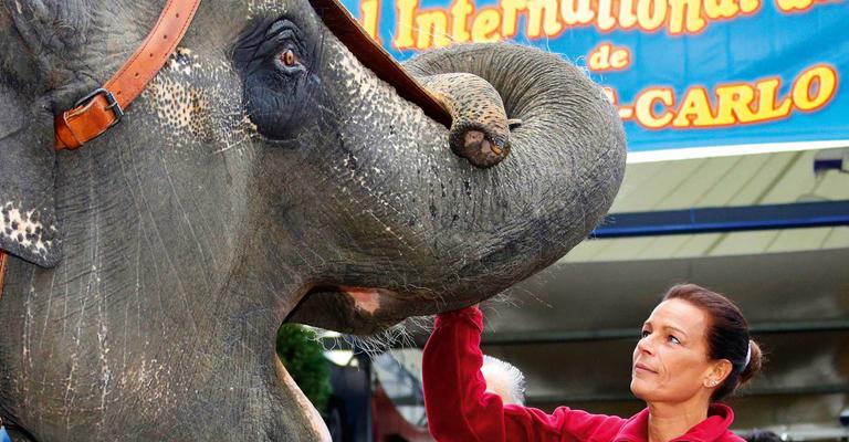 Princesa Stéphanie acompanha preparação do Festival Internacional de Circo de Monte Carlo