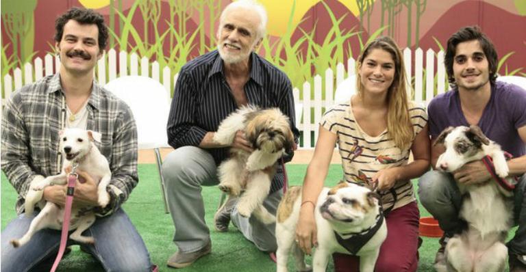 ‘Cachorrada VIP’ estreia nova temporada no ‘Domingão do Faustão’