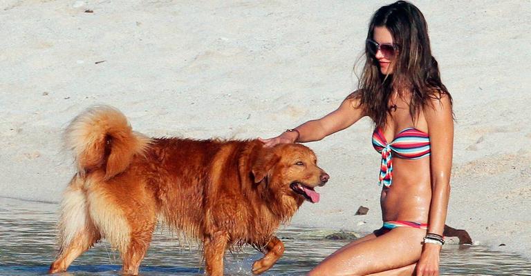 Alessandra Ambrosio curte relax em praia de St. Barth