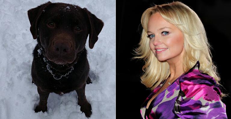 Labrador da ex-spice girl Emma Bunton é encontrada morta