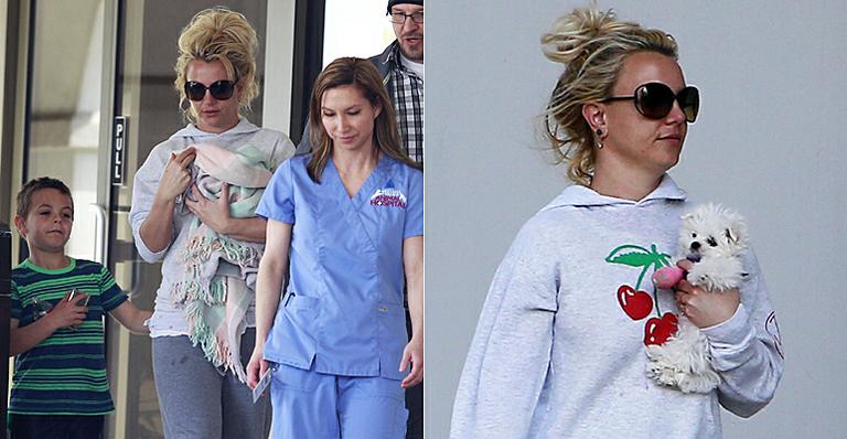 Britney Spears leva cachorrinha machucada a clínica veterinária