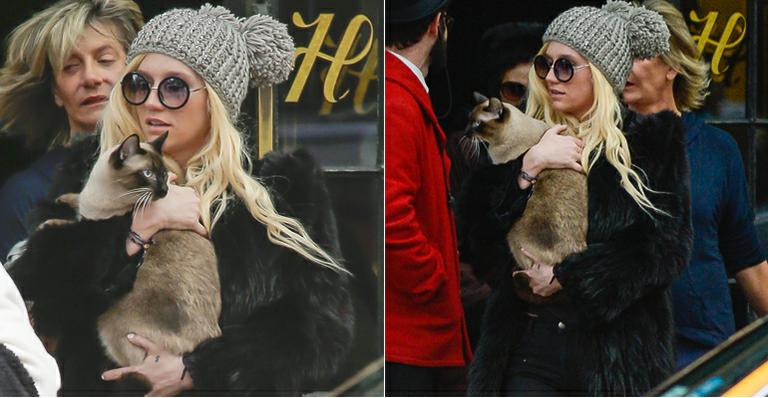 Ke$ha carrega seu gatinho por N.Y.