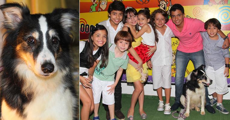 Com presença do cachorro Rabito, elenco mirim de ‘Carrossel’ se reúne em festa de aniversário