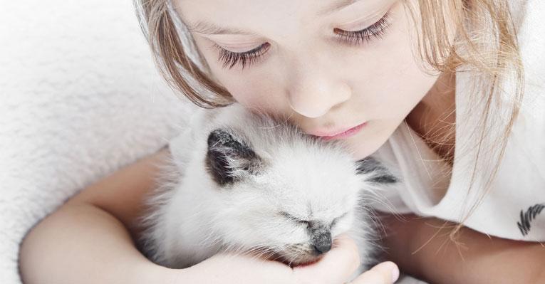 Crianças e gatos: Dr. Pet ensina como essa amizade pode dar certo
