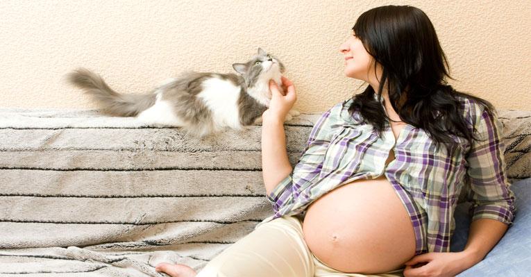 Grávidas, bebês e gatos: as respostas para as dúvidas mais frequentes
