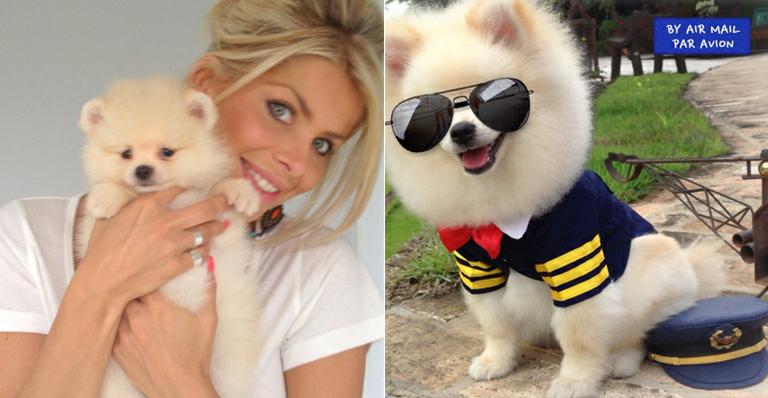 O sucesso de Joy, o cãozinho sorridente de Karina Bacchi