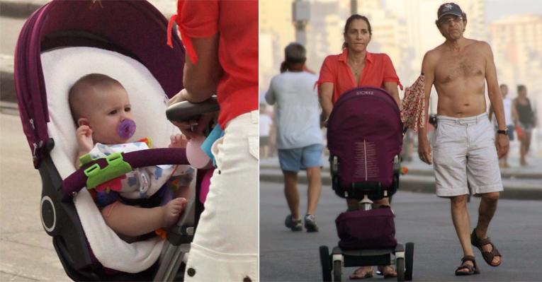 Totia Meireles: vovó coruja