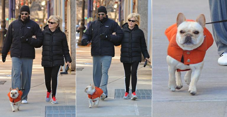 Hugh Jackman: passeio com bulldog francês