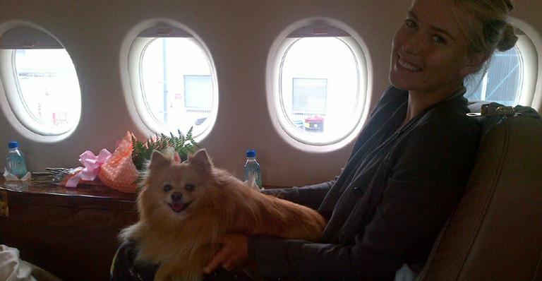 Maria Sharapova viaja com seu lulu da pomerânia