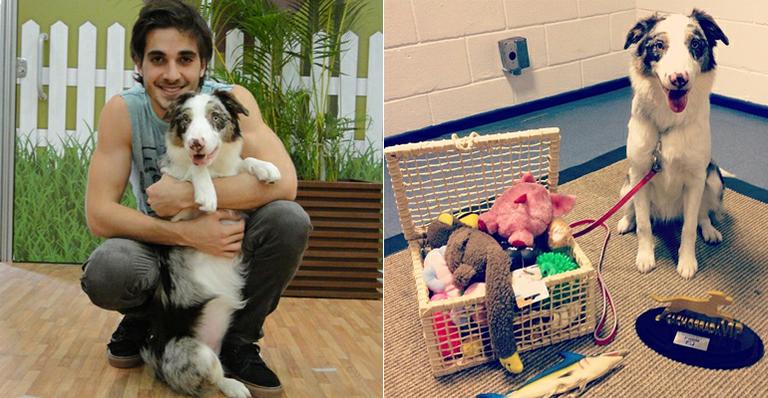 Fiuk e sua cachorrinha, a border collie Gaia, vencem o ‘Cachorrada Vip’