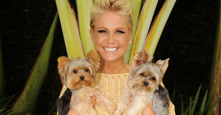Feliz aniversário, Rainha Xuxa