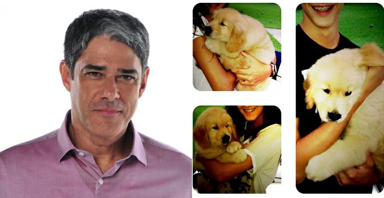 William Bonner apresenta o novo cachorrinho da família