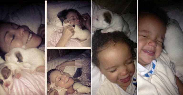 Mariah Carey adota dois cachorrinhos!