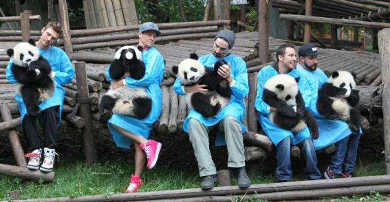 Cantores do Backstreet Boys alimentam filhotes de panda na China